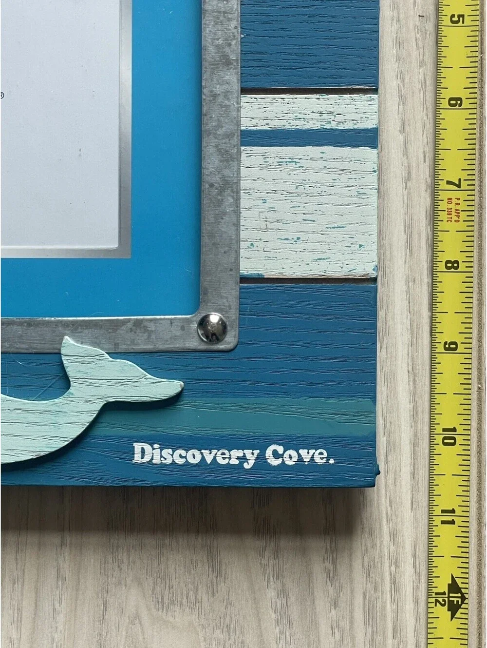 Discovery Cove Picture Frame 6X8 Or 4X6 Dolphin swim swam swung Ocean waves